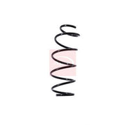 Apec Front Suspension Coil Spring ACS1376