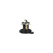NRF Thermostat,Coolant 725379