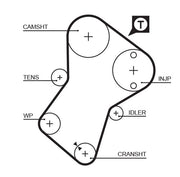 Gates 5049 Timing Belt