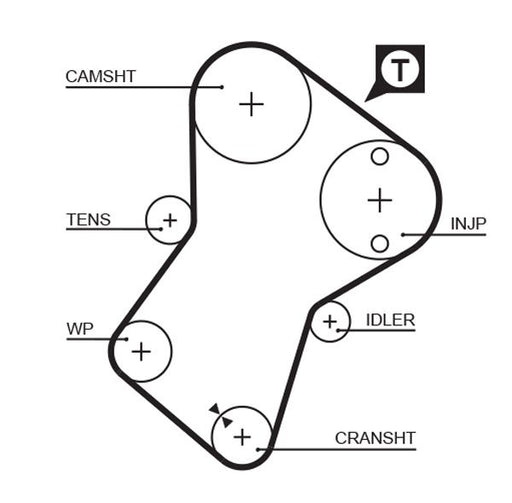 Gates 5049 Timing Belt