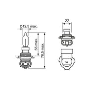 Bosch Automotive Bulb 1 987 301 039