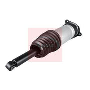 Apec Air Suspension Strut Shock AAS1073