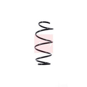 Apec Front Suspension Coil Spring ACS1341