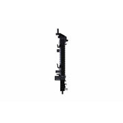 Hella Engine Radiator 8MK 366 300-261