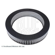 Blue Print Engine Air Filter ADC42204