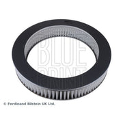 Blue Print Engine Air Filter ADC42204