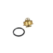 NRF Thermostat,Coolant 725267