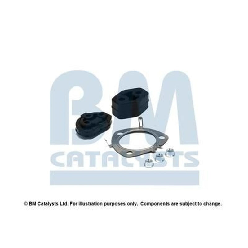 BM Catalysts Fitting Kit FK11259C FK11259C