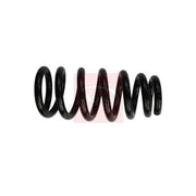 Apec 2 x Suspension Springs ACS1749