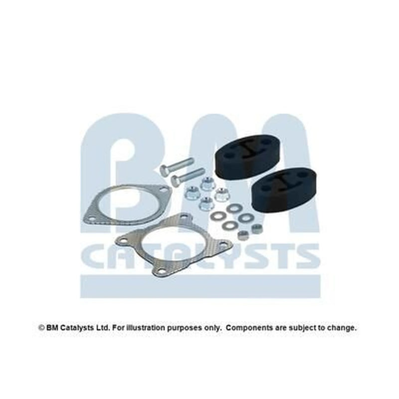 BM Catalysts Fitting Kit FK91399C FK91399C