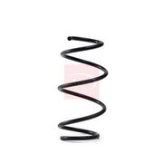 Apec Front Suspension Coil Spring ACS2013