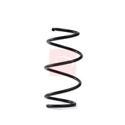 Apec Front Suspension Coil Spring ACS2013
