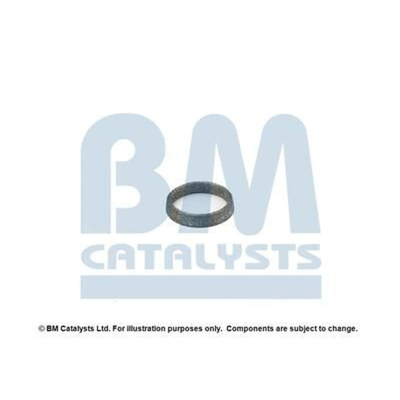 BM Catalysts Fitting Kit FK91006A FK91006A