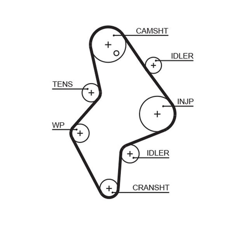 Gates Timing Belt Cambelt 153 Teeth 5658XS