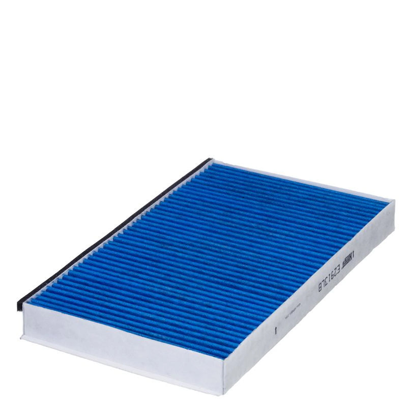 Hengst Cabin Air Filter (Pollen Filter) E2913LB