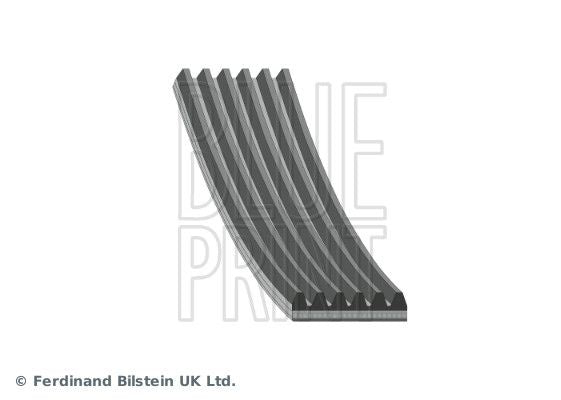 Blue Print Multi V-Ribbed Drive Belt