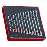 Teng Tools Combination Spanner Set FOAM2 12 Pieces