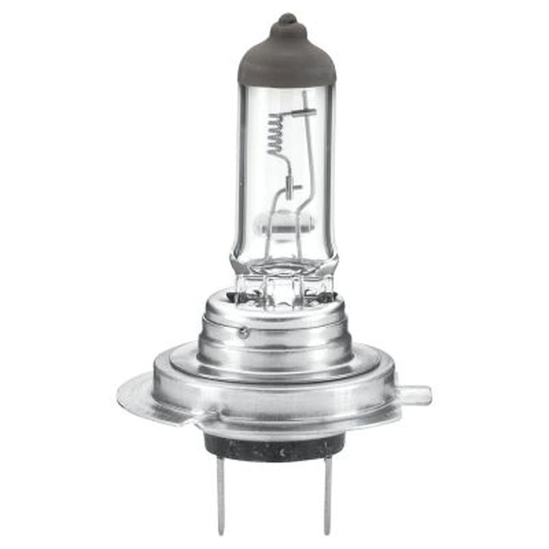 Hella Bulb Ece-R 37-H7-24V/70W 8GH 8GH 007 157-241