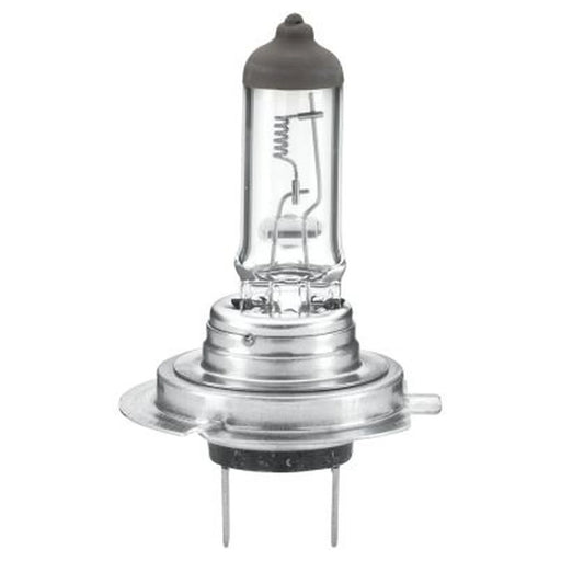 Hella Bulb Ece-R 37-H7-24V/70W 8GH 8GH 007 157-241
