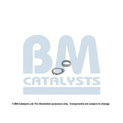 BM Catalysts Fitting Kit FK90894A FK90894A