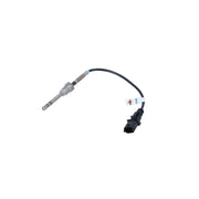 NRF Exhaust Gas Temperature Sensor before soot particulate f 707099