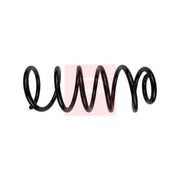 Apec Rear Suspension Coil Spring ACS2006