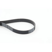 Continental CTAM Multi V-Ribbed Drive Belt 6PK1310