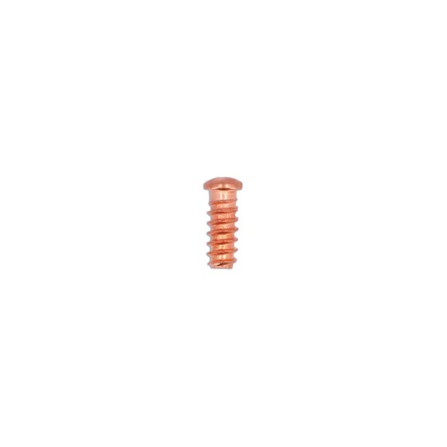Power-TEC Self Threaded Rivets 5 x 12mm 50pc - PPL