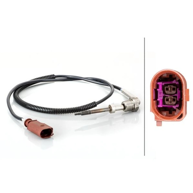 Hella Exhaust Gas Temperature Sensor before soot parti 6PT 014 494-631