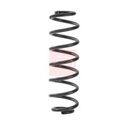 Apec Front & Rear Suspension Springs ACS2497