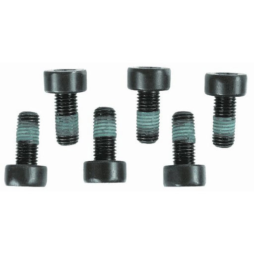 Sachs Dmf Screw Set (Special Order) 1874000004