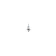 Bosch Automotive Bulb 1 987 301 005