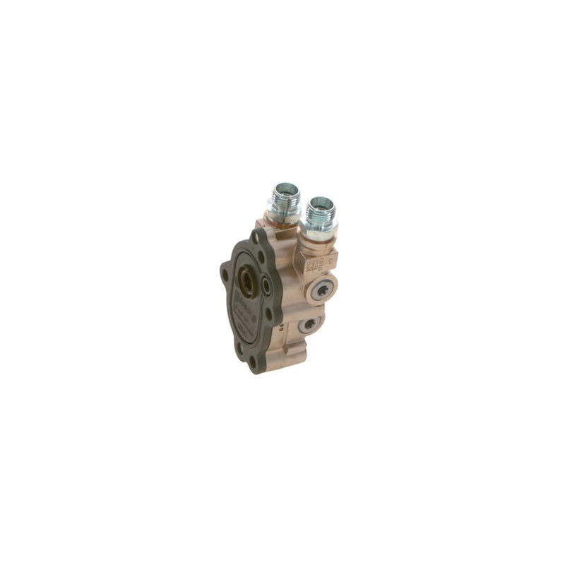 Bosch Fuel Pump Assembly 0 440 020 117