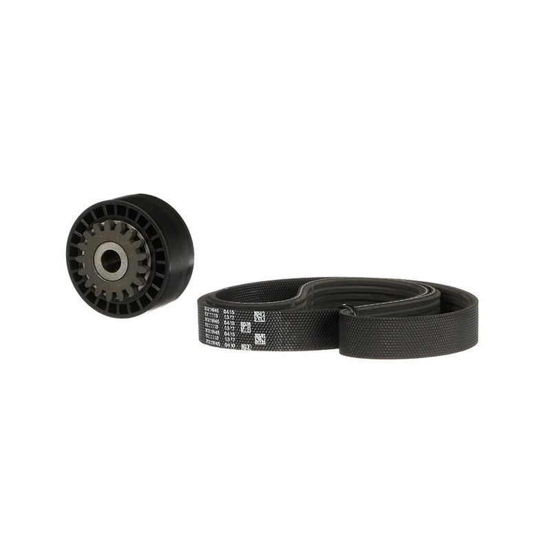 Gates V-Ribbed Belt Set K025PK880