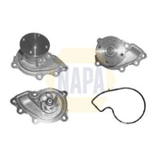 NAPA Engine Cooling Water Pump NWP1262