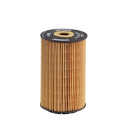 Hengst Engine Oil Filter E353H D54