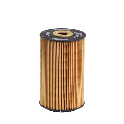 Hengst Engine Oil Filter E353H D54