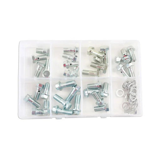 Connect Assorted Brake Hose Banjo Bolts M10 70pc - CPL