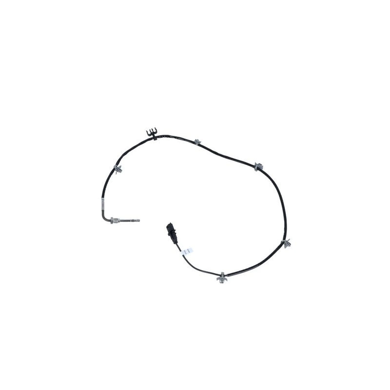 NRF Exhaust Gas Temperature Sensor after soot particulate fil 707062