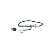 NRF Exhaust Gas Temperature Sensor before exhaust tur 707286