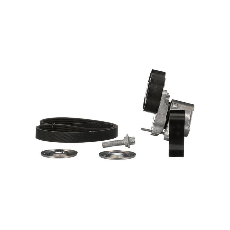 Gates V-Ribbed Belt Set K015PK1960