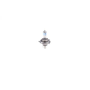 Bosch Automotive Bulb 1 987 301 136
