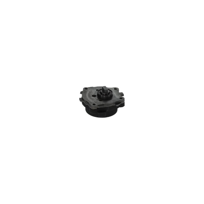 Bosch Fuel Pump Assembly 0 440 050 007