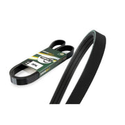 BGA Multi V-Ribbed Drive Belt 3PK794E