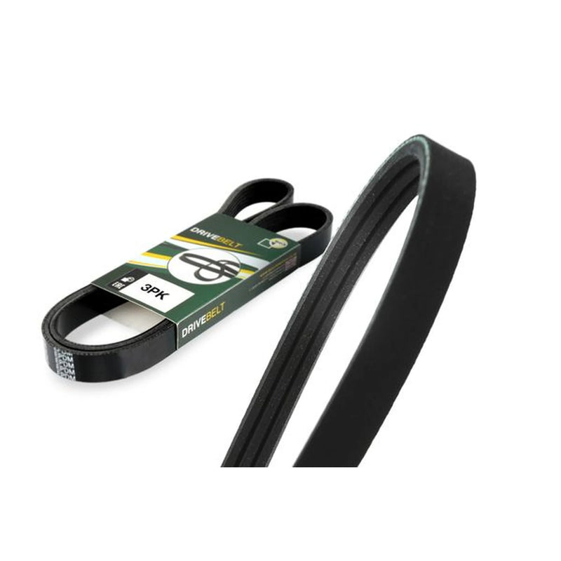 BGA Multi V-Ribbed Drive Belt 3PK794E