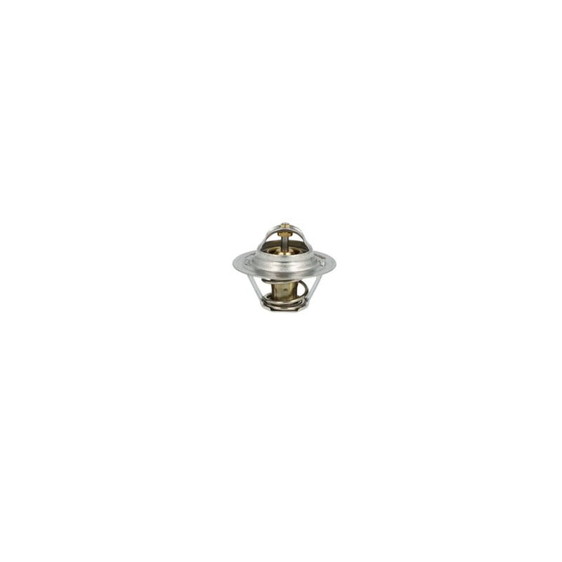 NRF Thermostat,Coolant 725065
