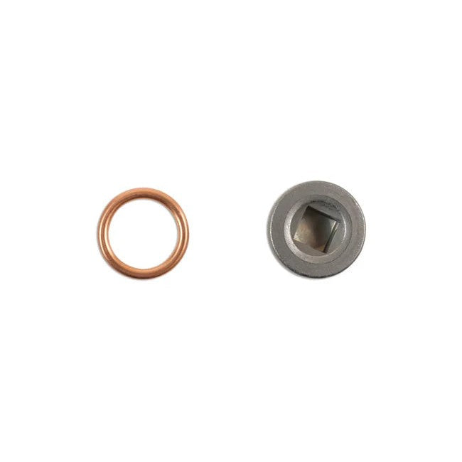 Connect HGV Sump Plug & Washer - for Renault 1pc - CPL