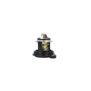NRF Thermostat,Coolant 725379