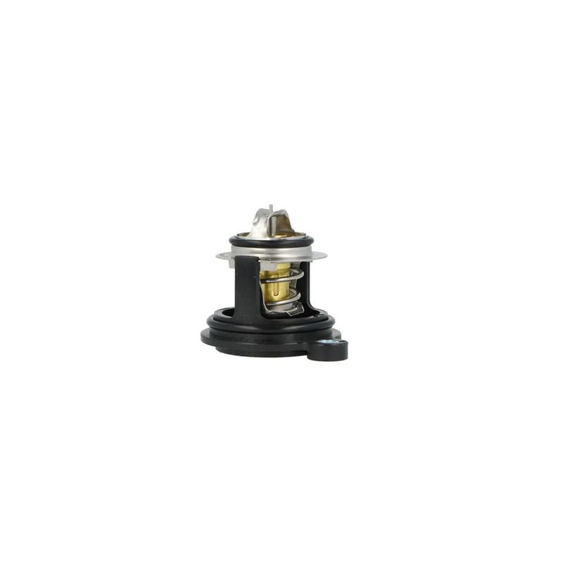 NRF Thermostat,Coolant 725379