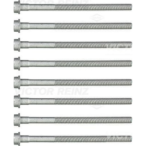 Victor Reinz Cylinder Head Bolt Set M10 14-32173-01